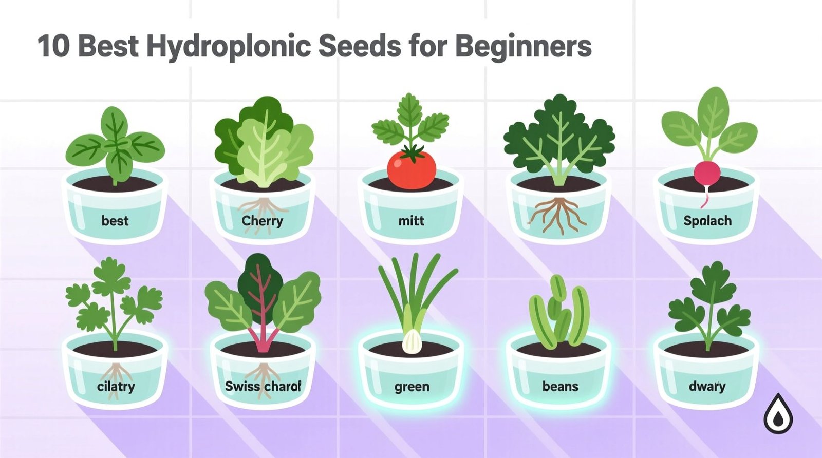 10 best hydroponic seeds for beginners fast reliable easy.jpg