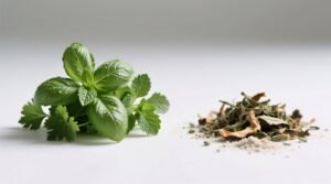 Fresh herbs vs dried herbs when to use which science backed guide.jpg