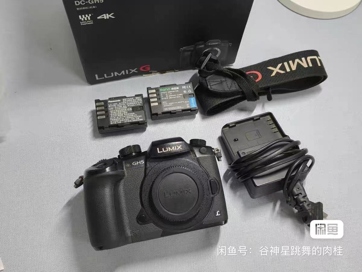 How to choose a used panasonic lumix g85 buying guide tips.jpg