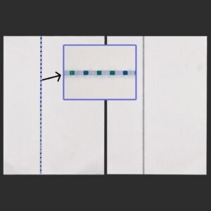 How to choose indian currency security rbi thread paper a complete guide.jpg