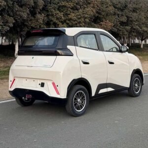 How to choose the best 2022 mini ev car out range extender.jpg