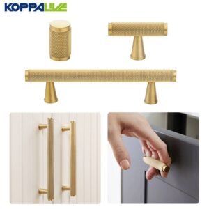 How to choose the best cabinet handle with backplate for your home.jpg
