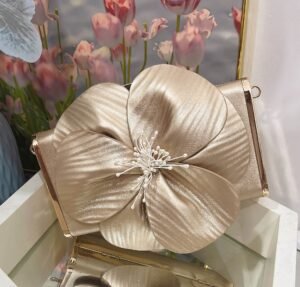 How to choose the best carol party shoe and bag sets for your event.jpg