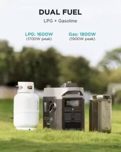 How to choose the best ecoflow electric generator for your needs.jpg