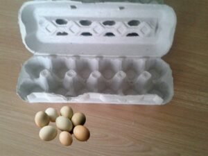 How to choose the best egg tray carton making machine a complete buyers guide.jpg