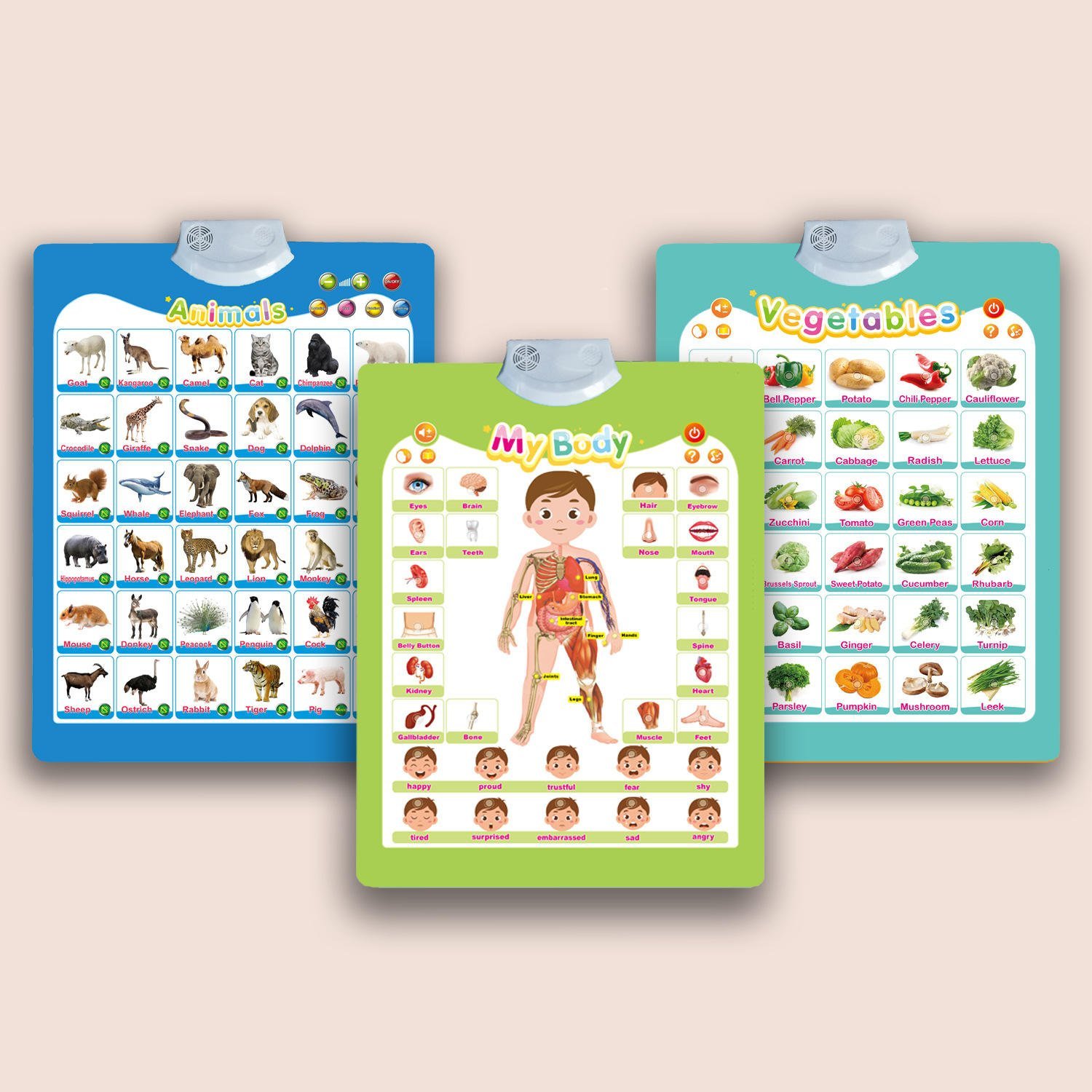 How to choose the best english words sound book for learning.jpg