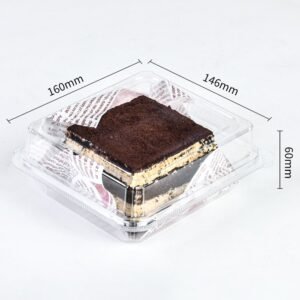 How to choose the best large clear plastic tiramisu container rectangle.jpg