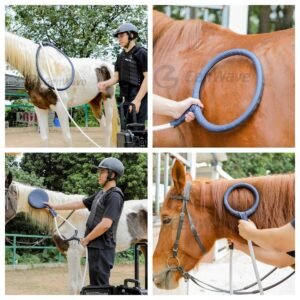 How to choose the best pemf machine for horses a complete buyers guide.jpg