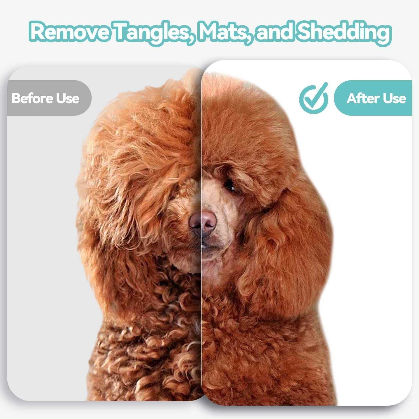 How to choose the best professional dog grooming brush a complete buying guide.jpg