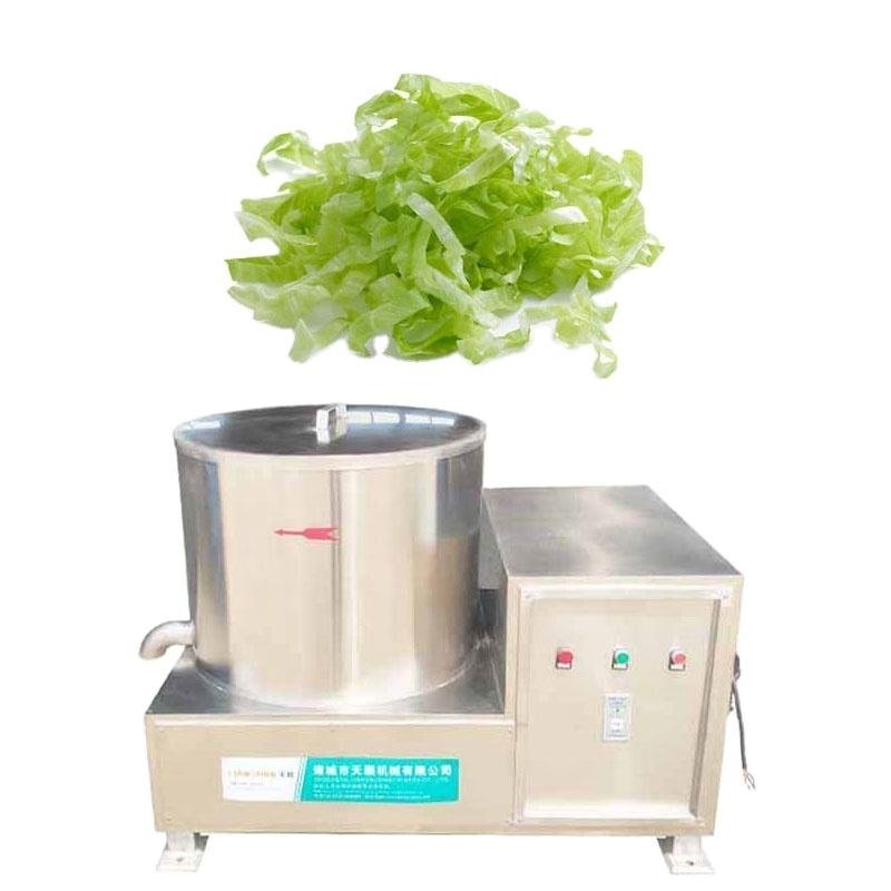 How to choose the best vegetable dehydrator centrifuge a complete buying guide.jpg