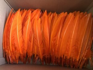 How to choose the best wing feather gold plated thin jewelry.jpg