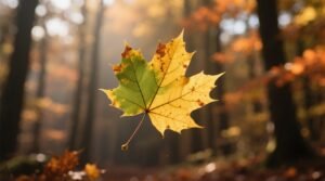 Leaf turning yellow causes diagnosis proven fixes 2024 guide.jpg